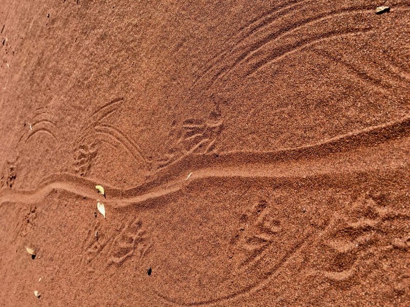 Illustration for article titled AWOL Around Australia... The Pilbara. Part 2